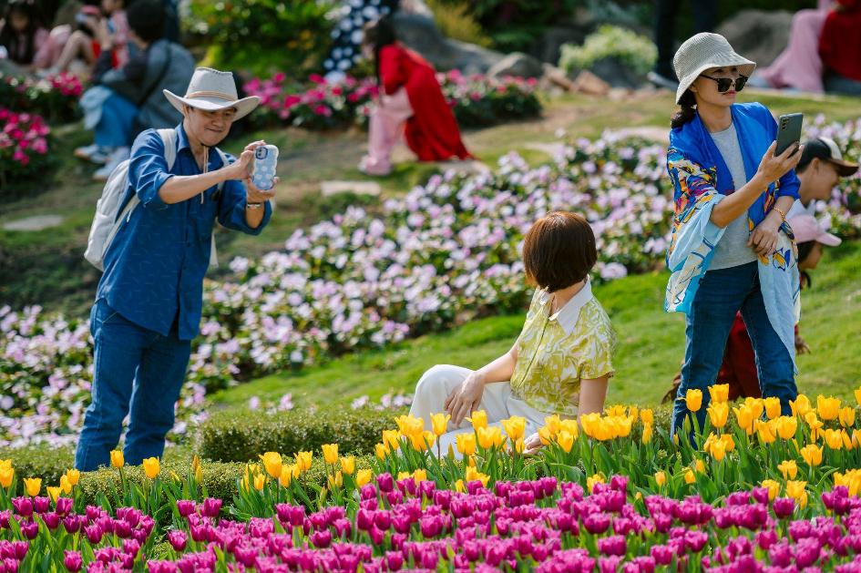 Hối hả trên “chín tầng mây”: Núi Bà Đen đếm ngược ngày khai Hội xuân- Ảnh 1.