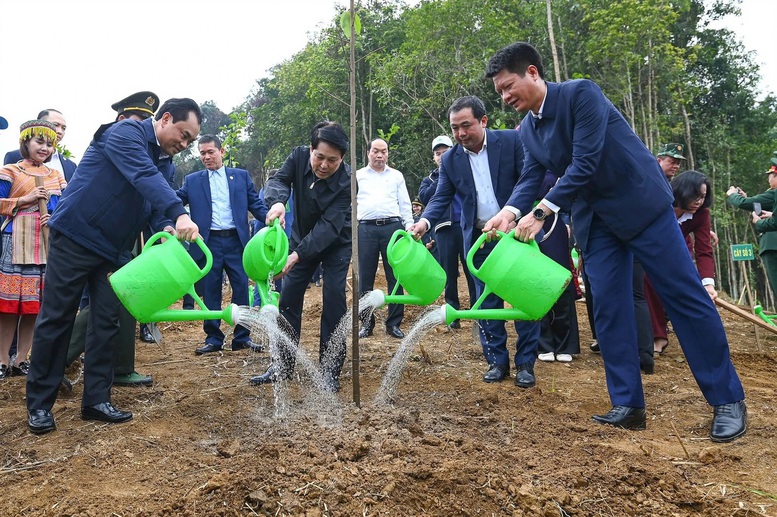 Chủ tịch nước dự lễ phát động Tết trồng cây năm 2026- Ảnh 2. Chủ tịch nước dự lễ phát động Tết trồng cây năm 2026- Ảnh 2.