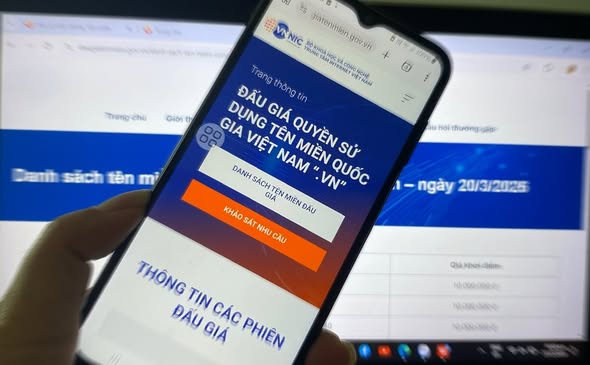 Lần đầu đấu giá 50 tên miền 2 ký tự “.vn”- Ảnh 1. Lần đầu đấu giá 50 tên miền 2 ký tự “.vn”- Ảnh 1.