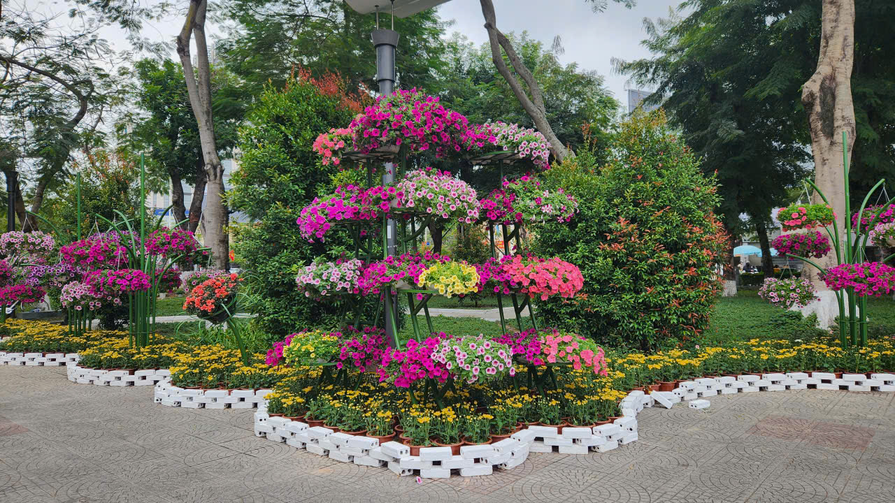 Hải Phòng rực rỡ sắc xuân trước thềm năm mới Bính Ngọ 2026- Ảnh 7.