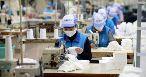 Việt Nam chi 5,73 tỷ USD mua bông, xơ, sợi trong năm 2025- Ảnh 1.