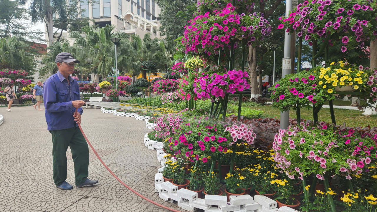 Hải Phòng rực rỡ sắc xuân trước thềm năm mới Bính Ngọ 2026- Ảnh 2.