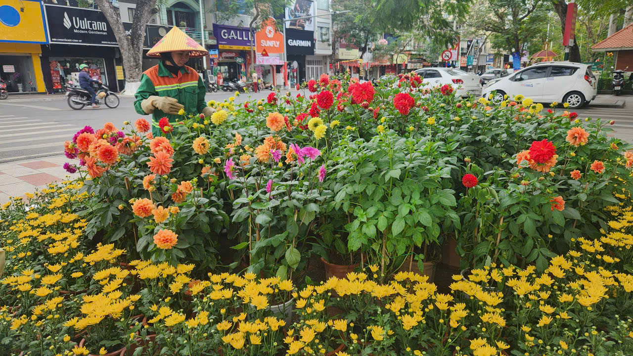 Hải Phòng rực rỡ sắc xuân trước thềm năm mới Bính Ngọ 2026- Ảnh 3.