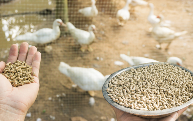 Kê khai thuế đúng ngay từ đầu: Chìa khóa giảm rủi ro, mở cánh cửa phát triển bền vững- Ảnh 19.