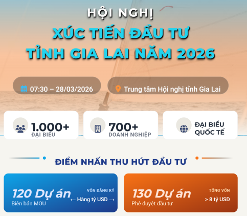 Gia Lai: 700 doanh nghiệp tham gia Hội nghị Xúc tiến đầu tư năm 2026- Ảnh 1.