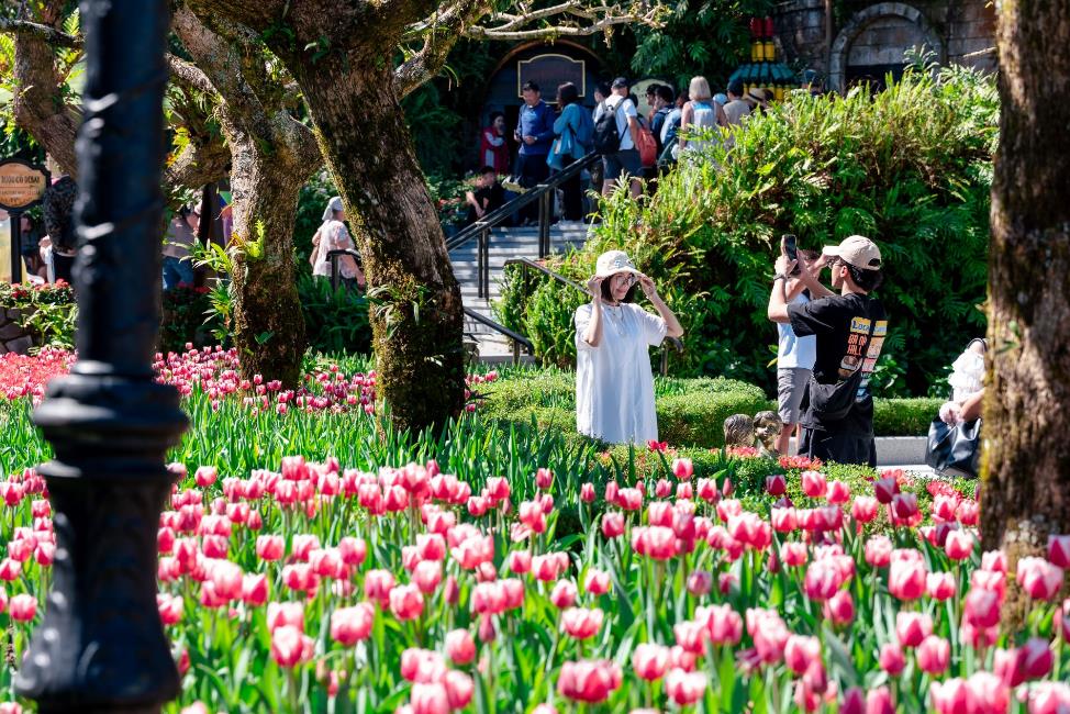 Bật mí bí kíp sở hữu chuyến du ngoạn Đà Nẵng trọn gói sang chảnh với giá “siêu hời”- Ảnh 1.