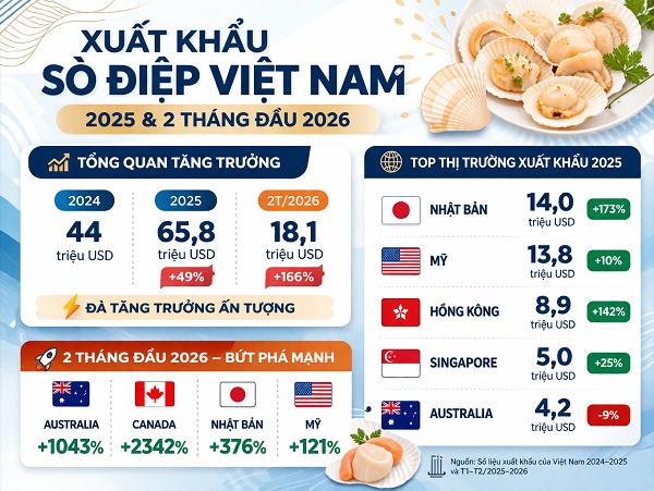 Xuất khẩu sò điệp tăng 166% so với cùng kỳ- Ảnh 2.