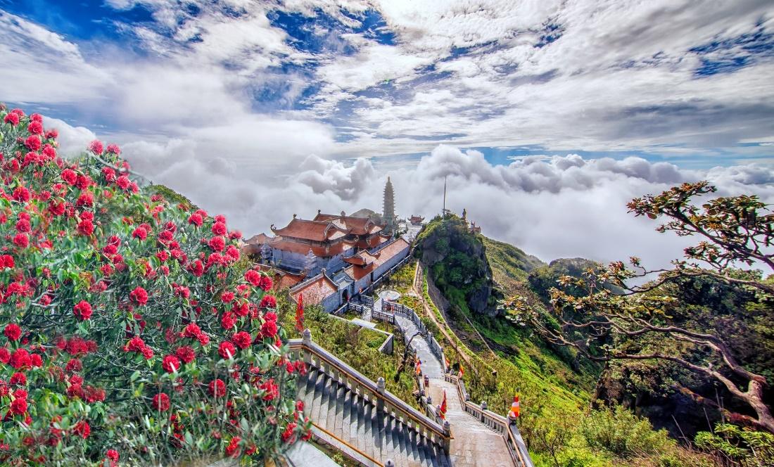 C:\Users\Admin\Desktop\Sapa_Fansipan\Tư vấn trải nghiệm dịp lễ Giỗ tổ và 30.4\Bộ 2\Đường dạo ngắm hoa đỗ quyên.jpg