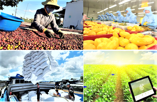 Xuất khẩu nông, lâm, thủy sản đạt 11,3 tỷ USD trong 2 tháng đầu năm- Ảnh 1.