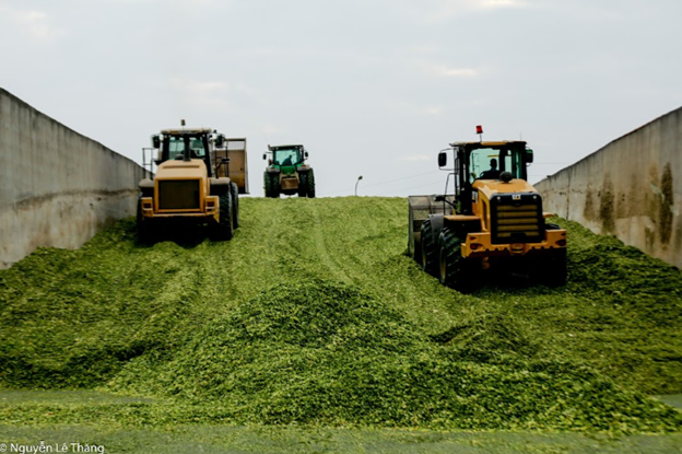 Bản lĩnh Anh hùng của một tập thể Anh hùng- Ảnh 6.