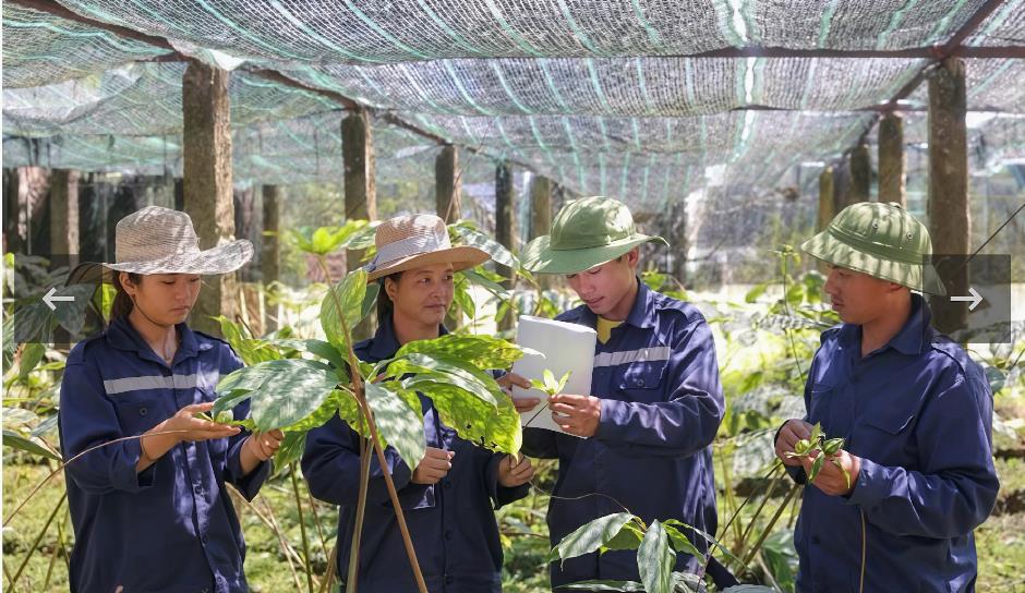 Định hình con đường dược liệu Việt: Tư duy chiến lược của Anh hùng Lao động Thái Hương- Ảnh 2.