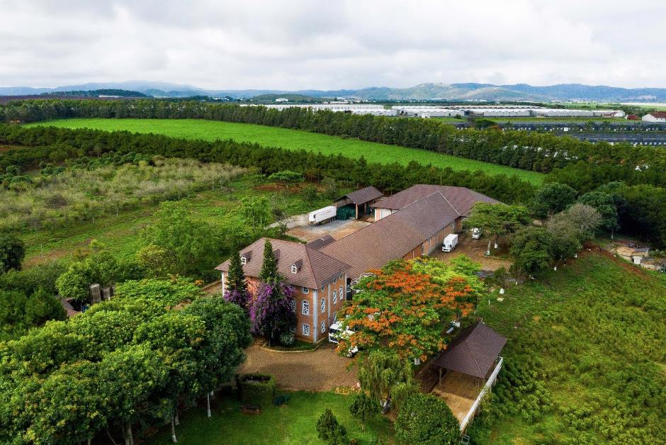 Dalatmilk ra mắt Sữa Tươi Thanh Trùng Hương Chuối - kết hợp từ sữa tươi cao nguyên và hương chuối tự nhiên- Ảnh 1. Dalatmilk ra mắt Sữa Tươi Thanh Trùng Hương Chuối - kết hợp từ sữa tươi cao nguyên và hương chuối tự nhiên- Ảnh 1.