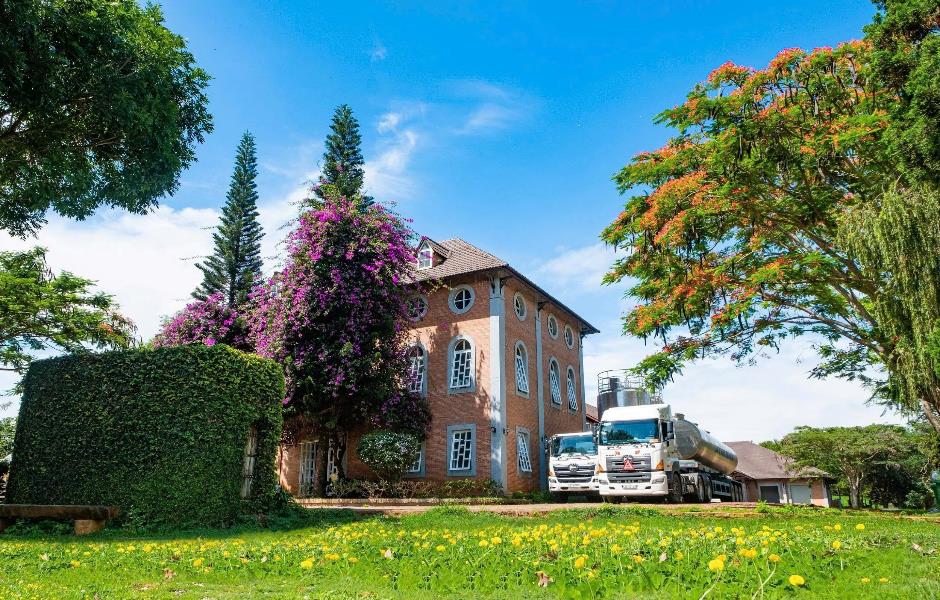 Dalatmilk ra mắt Sữa Tươi Thanh Trùng Hương Chuối - kết hợp từ sữa tươi cao nguyên và hương chuối tự nhiên- Ảnh 2. Dalatmilk ra mắt Sữa Tươi Thanh Trùng Hương Chuối - kết hợp từ sữa tươi cao nguyên và hương chuối tự nhiên- Ảnh 2.