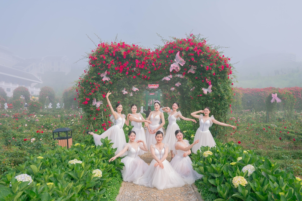 Sun World Fansipan Legend khai mạc Lễ hội Hoa hồng 2026 - “Bản giao hưởng hoa hồng”- Ảnh 3.