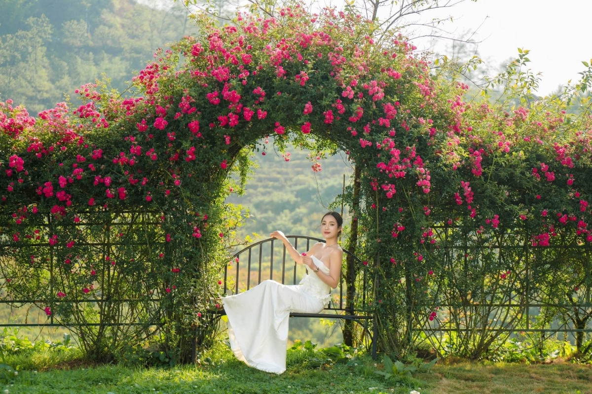 Sun World Fansipan Legend khai mạc Lễ hội Hoa hồng 2026 - “Bản giao hưởng hoa hồng”- Ảnh 2.