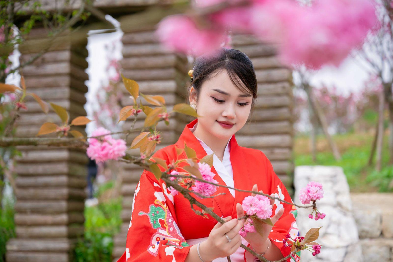 Lên Fansipan, ngắm mùa hoa anh đào ngợp ngời trên đỉnh thiêng- Ảnh 2.