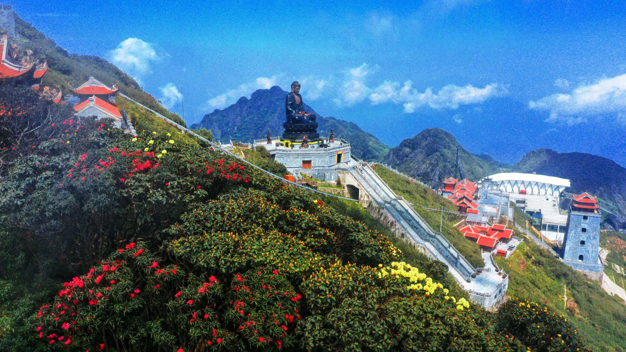 Lên Fansipan, ngắm mùa hoa anh đào ngợp ngời trên đỉnh thiêng- Ảnh 8.