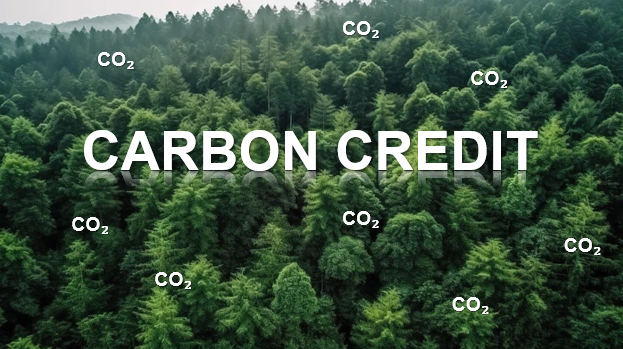 Tín chỉ carbon rừng chỉ được giao dịch theo hợp đồng hoặc trên sàn giao dịch- Ảnh 1. Tín chỉ carbon rừng chỉ được giao dịch theo hợp đồng hoặc trên sàn giao dịch- Ảnh 1.