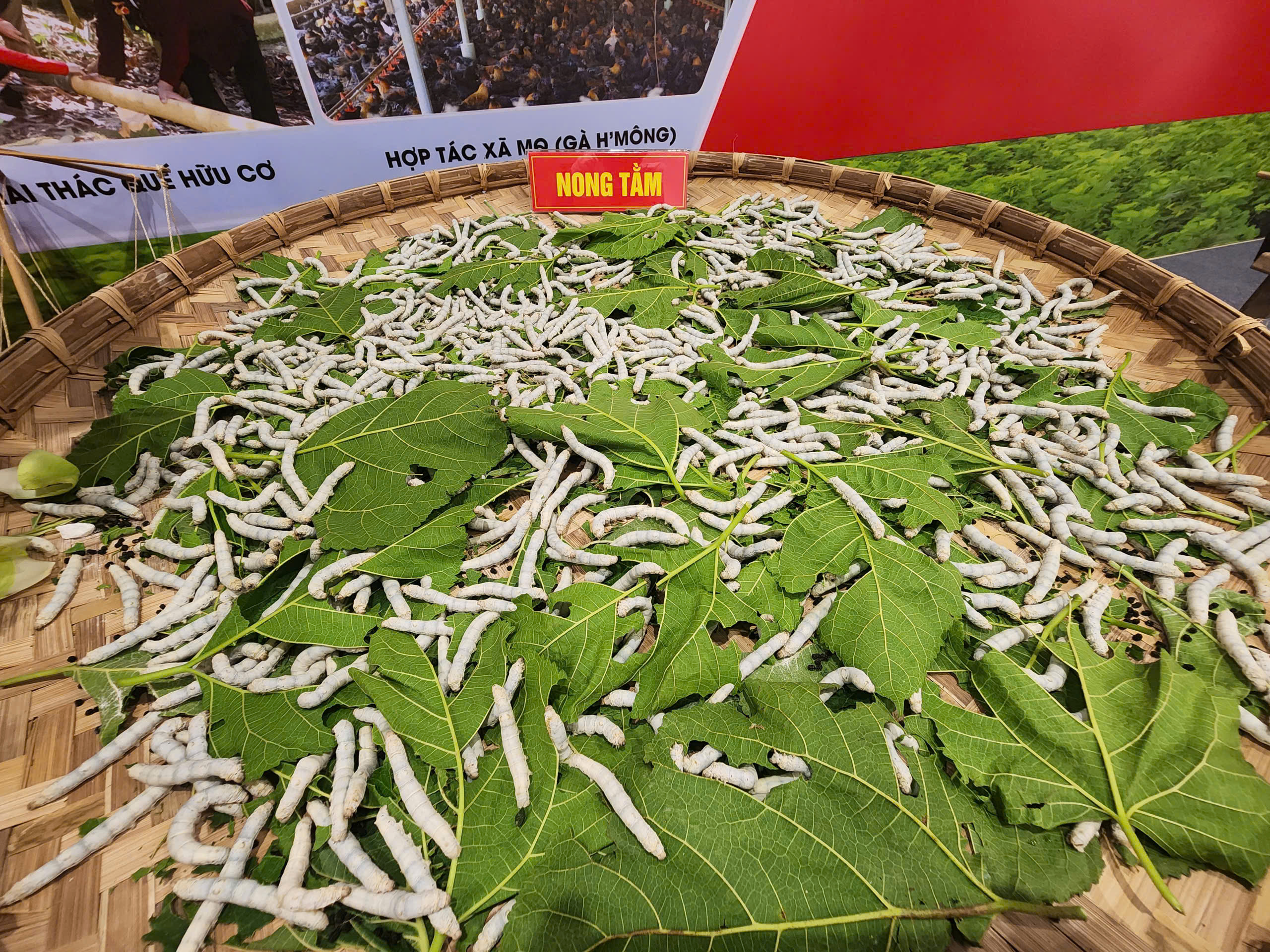 Lào Cai tiên phong xây dựng mô hình “Xã, phường xã hội chủ nghĩa”- Ảnh 7.