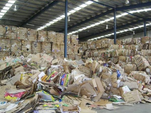Gỡ nút thắt thu gom, tái chế để ngành giấy tăng trưởng xanh, bền vững- Ảnh 1.