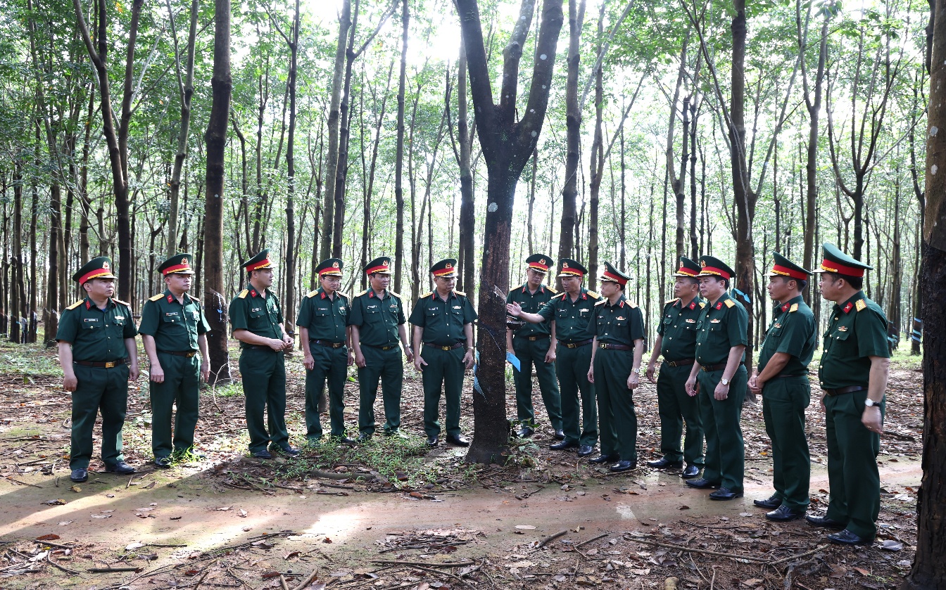 Binh đoàn 16 phát huy hiệu quả nhiệm vụ kinh tế - quốc phòng- Ảnh 3.