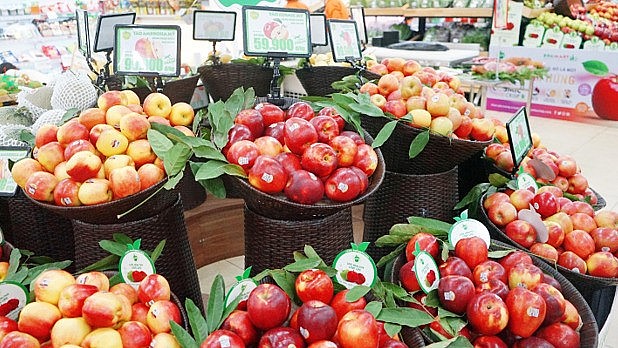 Mỹ hiện là nhà cung cấp nông sản lớn thứ hai cho Việt Nam - Ảnh 1.