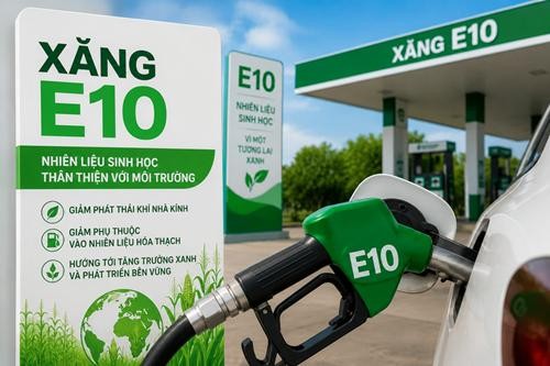 Hà Nội sẽ kiểm tra, giám sát chất lượng xăng sinh học E10 - Ảnh 1.