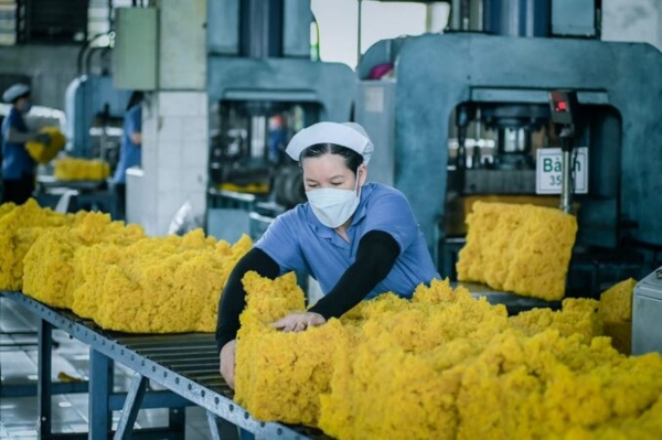 Xuất khẩu cao su giảm 7,9% về lượng và giảm 4,3% về trị giá - Ảnh 1.