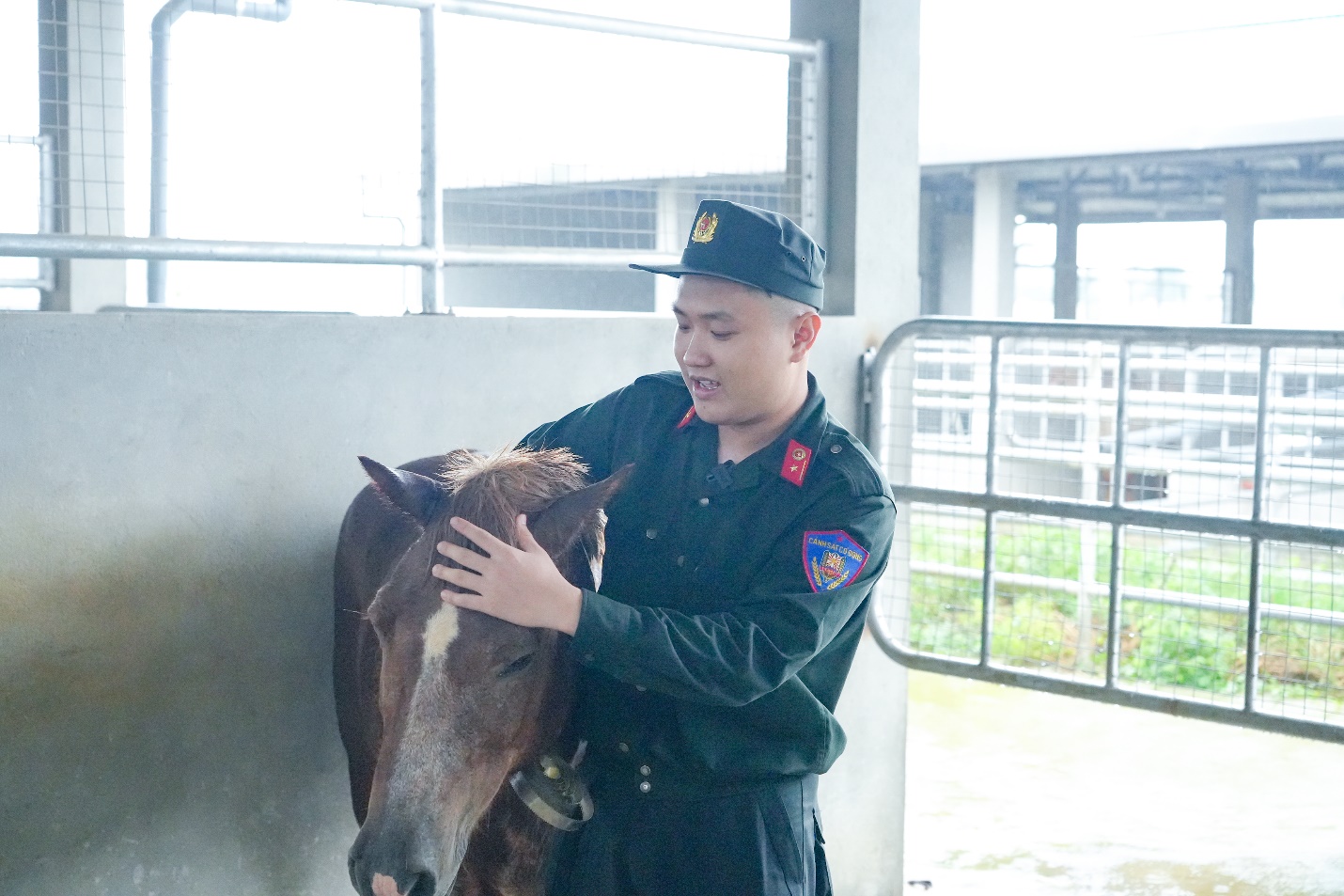 Cuộc chuyển giao đầy cảm xúc giữa hai thế hệ ngựa kỵ binh- Ảnh 3.