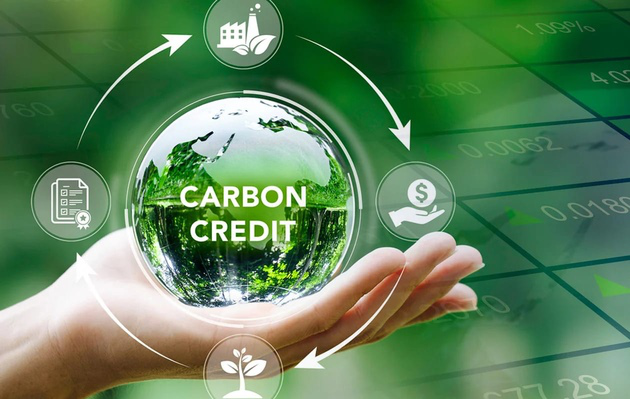 Sàn giao dịch carbon mới chỉ có một phiên giao dịch sau 1 tháng vận hành- Ảnh 1.