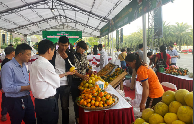 Tuần lễ cam và nông sản Hưng Yên 2020: Năm thứ 3 liên tiếp “Vùng trái cây Phố Hiến” mang đến người tiêu dùng 
những sản phẩm nông nghiệp tuyệt vời - Ảnh 2.