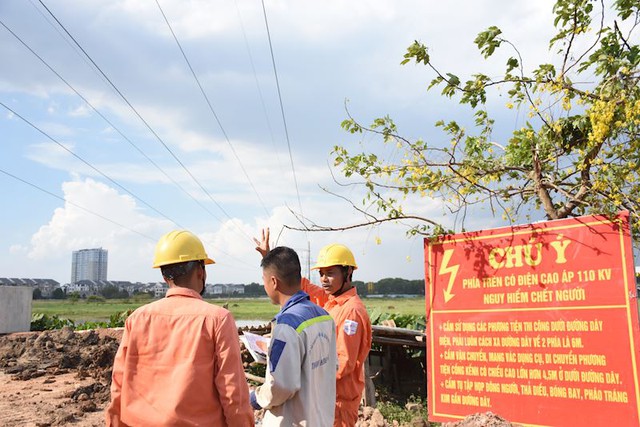 Vi phạm hành lang an toàn lưới điện có thể bị ngồi tù đến 10 năm - Ảnh 2.