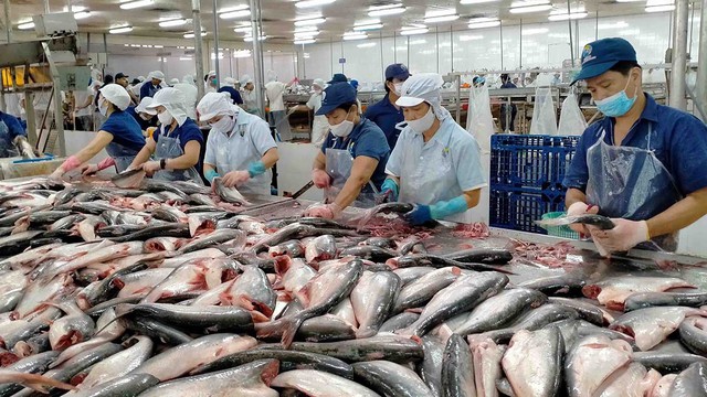 Xuất khẩu cá tra sang thị trường Ai Cập, UAE tăng mạnh - Ảnh 1.