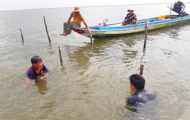 Toàn xã Nam Thái, huyện An Biên có hơn 1.000 ha đất bãi bồi ven biển, từ lâu đã trở thành kế mưu sinh của hàng trăm hộ gia đình.