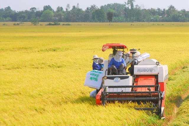 Việt Nam kỳ vọng trở thành chuỗi cung ứng nông sản cho cả thế giới - Ảnh 1.