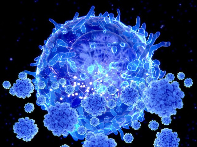 Tế bào T - Nghiên cứu mới trong việc ngăn ngừa biến chủng COVID-19 lâu dài - Ảnh 1.
