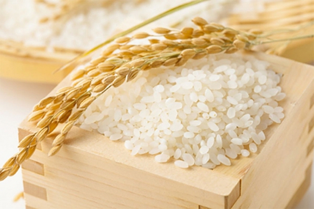 Giá lúa gạo hôm nay 12/5: Duy trì ổn định - Ảnh 1.