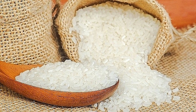 Giá gạo hôm nay 1/4: Giá lúa chưa dứt đà giảm - Ảnh 1.