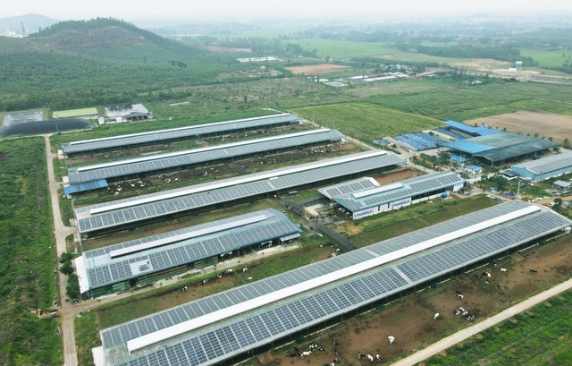 Vinamilk đầu tư hệ thống năng lượng mặt trời tại 12 trang trại bò sữa trên cả nước - Ảnh 3.