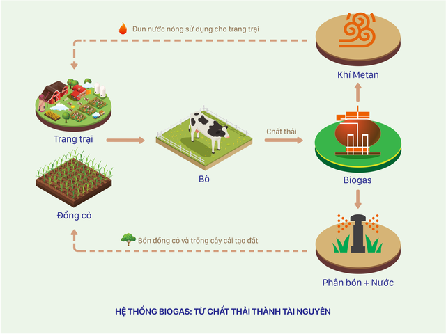 Vinamilk đầu tư hệ thống năng lượng mặt trời tại 12 trang trại bò sữa trên cả nước - Ảnh 4.