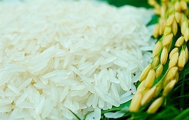 Giá gạo hôm nay 20/4: Giá gạo xuất khẩu giảm thêm 5 USD/tấn - Ảnh 1.
