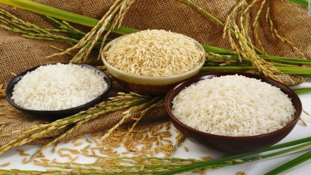 Thị trường lúa gạo hôm nay 24/4: Giá gạo thường bật tăng 500 đồng - Ảnh 1.