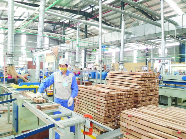 Cần kiểm soát rủi ro trong nhập khẩu gỗ nguyên liệu - Ảnh 1.