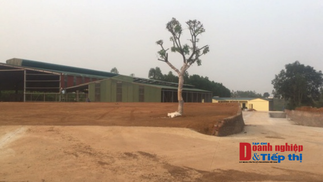 Tam Nông (Phú Thọ): Ngang nhiên xây dựng nhà xưởng không phép trên đất rừng sản xuất - Ảnh 1.