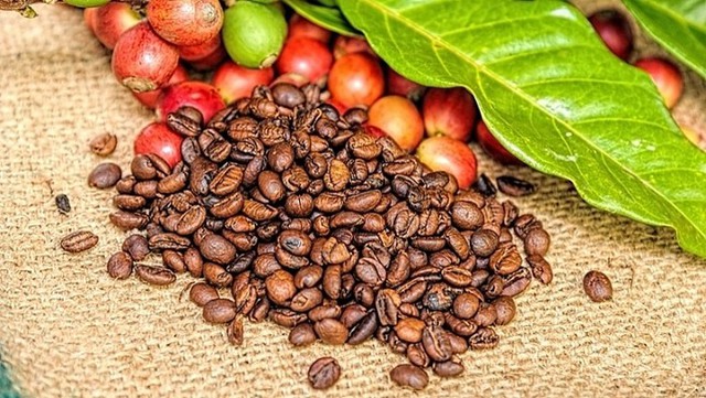 Thị trường nông sản ngày 8/4: Giá tiêu và cà phê trong nước biến động  - Ảnh 2.