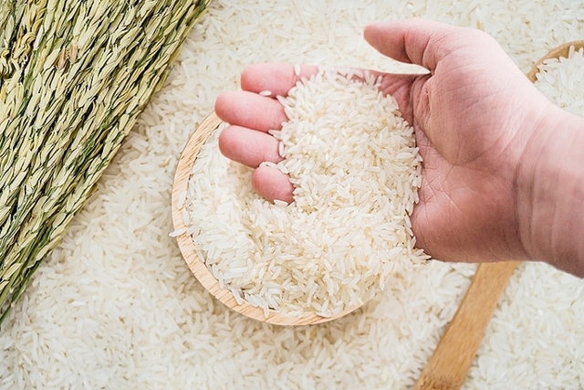Giá gạo hôm nay 8/4: Giá lúa tiếp tục giảm sâu - Ảnh 1.