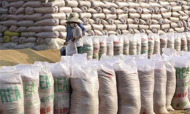 Bộ Nông nghiệp Mỹ: Việt Nam sẽ tiếp tục đứng thứ 2 về xuất khẩu gạo - Ảnh 1.