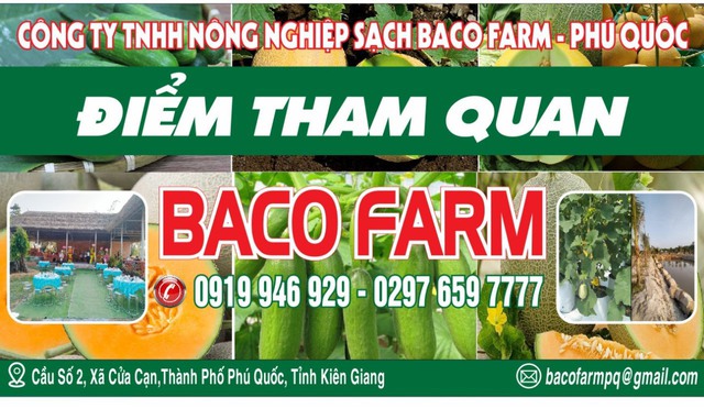 Baco Farm - Phú Quốc: Điểm thăm quan du lịch với mô hình nông nghiệp sạch - Ảnh 1.