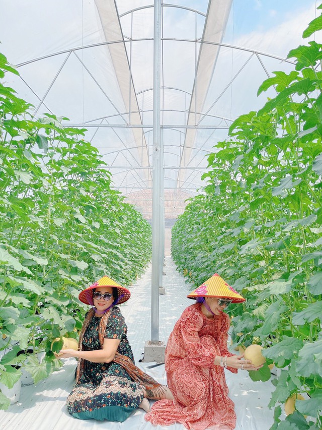 Baco Farm - Phú Quốc: Điểm thăm quan du lịch với mô hình nông nghiệp sạch - Ảnh 2.