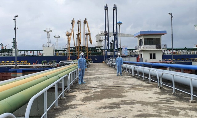 Bất chấp dịch COVID-19, sản lượng hàng container qua cảng biển tăng 5%  - Ảnh 1.